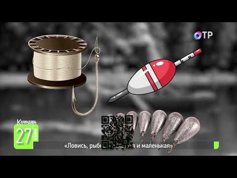 Видео: 8 июля 2024 г.