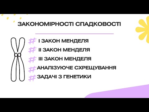 Видео: Вебінар з біології 1 потік. Тема 17: Закономірності спадковості. Задачі