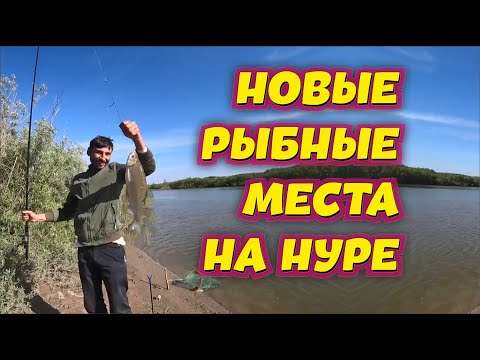 Видео: НОВЫЕ РЫБНЫЕ МЕСТА НА НУРЕ - Ловим Язя