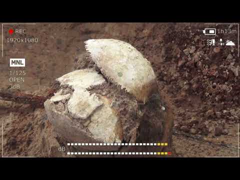 Видео: Колпинский Рубеж Тосненский район