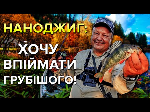 Видео: Наноджиг на великій воді. Як відсікти дріб'язок та ловити залікових окунів, як підібрати приманку.