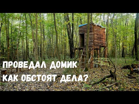 Видео: Домик над землёй #12 / Установил фотоловушку, сделал стол, работа внутри домика.