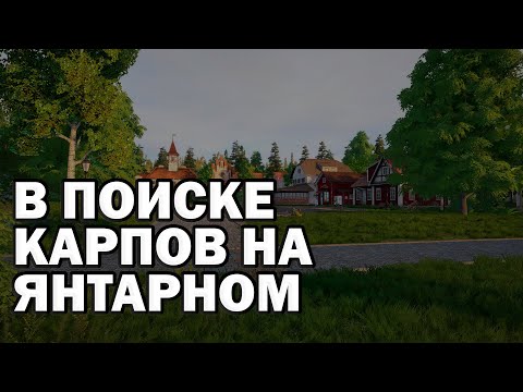 Видео: В поиске карпов на озере Янтарном. Ищем трофы и фарм. Русская рыбалка 4