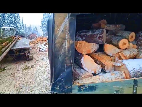 Видео: Будни Олега. Заготовка дров зимой. Снова еде на делянку за дровами. Работал допоздна.