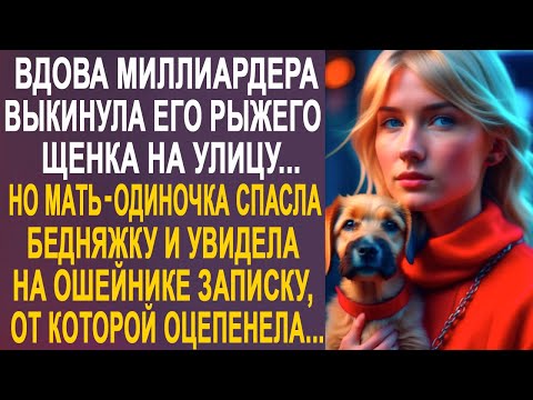 Видео: Жена миллиардера выкинула его рыжего щенка на улицу. Но когда Диана подобрала бедняжку на улице...