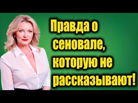 Видео: Случилось всё на сеновале… Истории из жизни!