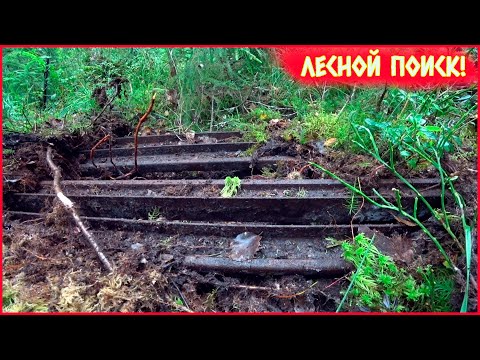 Видео: НАШЛИ ТУПИК УЖД С ПАЧКАМИ РЕЛЬС!!! НАМ ОПЯТЬ ПОВЕЗЛО!!!