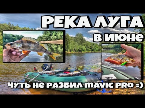 Видео: Рыбалка на реке Луга в июне по низкой воде, чуть не разбил по глупости mavic pro 27.06.2018