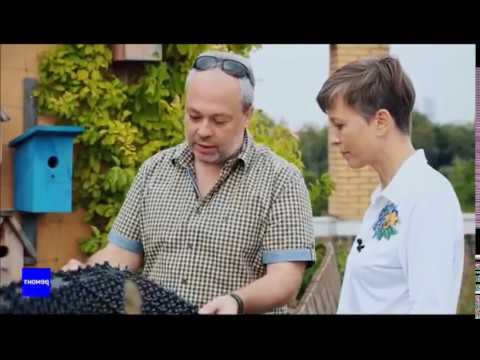 Видео: Технология озеленения кровли