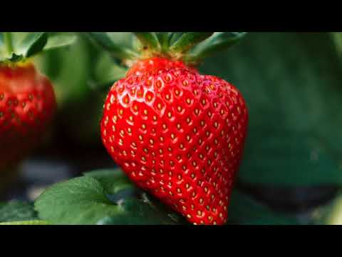 Видео: ЗҮРХНИЙ УЛИРАЛ цомог Энхрийгээс энхрий лекц