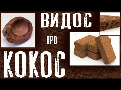 Видео: Что такое кокосовый субстрат? Как подготовить кокосовый субстрат?