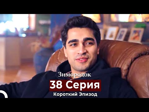Видео: Зимородок 38 Cерия (Короткий Эпизод) (Русский дубляж)