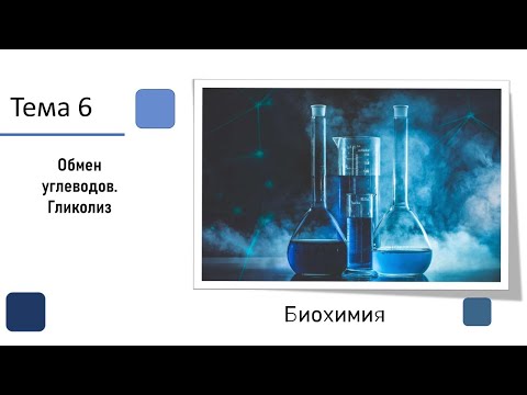 Видео: Переваривание углеводов. Гликолиз. Анаэробный гликолиз Ч.1