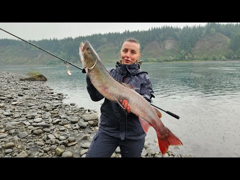 Видео: ПЕРВЫЙ В ЖИЗНИ ТАЙМЕНЬ ДОЛЖЕН БЫТЬ ТАКИМ!