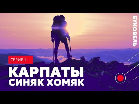 Видео: Карпаты поход. Пеший поход. Буковель- гора Синяк-гора Хомяк #поход #тур