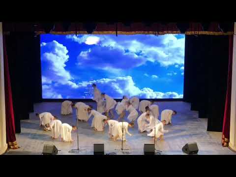 Видео: НХК ТТ «Імідж»   цвіте терен