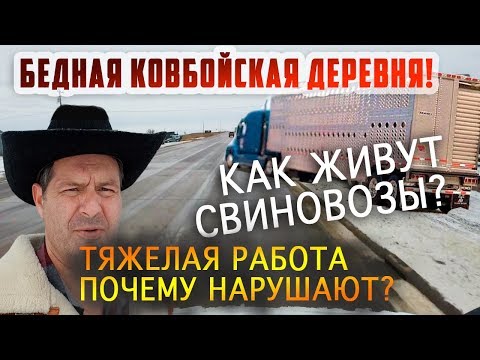 Видео: Бедная КОВБОЙСКАЯ деревня в США! ТЯЖЕЛАЯ РАБОТА СВИНОВОЗОВ! Почему они нарушают законы? Еда в траке