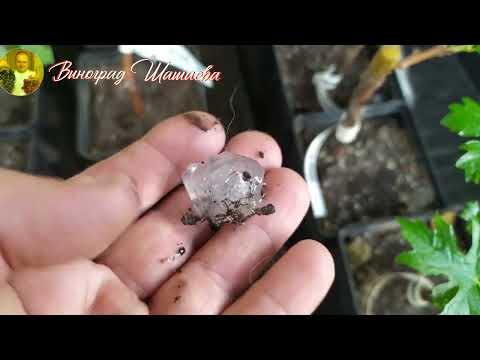 Видео: Защита от града на 100% !!!