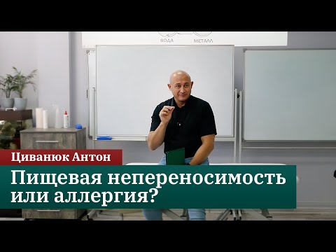 Видео: Пищевая непереносимость или аллергия? Циванюк А.В.