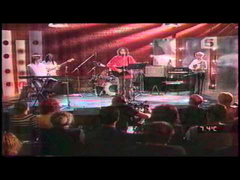 Видео: Павел Кашин  Чистый звук  ТРК Петербург 2004 год