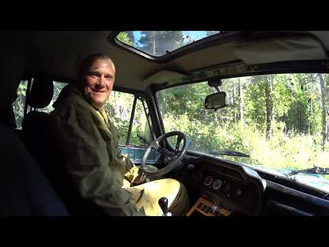 Видео: Счастливые люди. Кедровый орех.