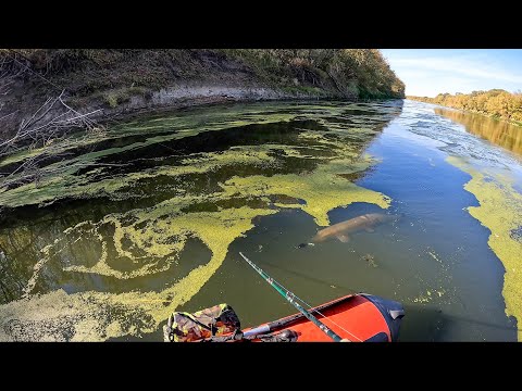 Видео: Закинул ЭТО в коряги и пошел ОСЕННИЙ ЖОР ЩУКИ! Рыбалка на щуку осенью 2024!