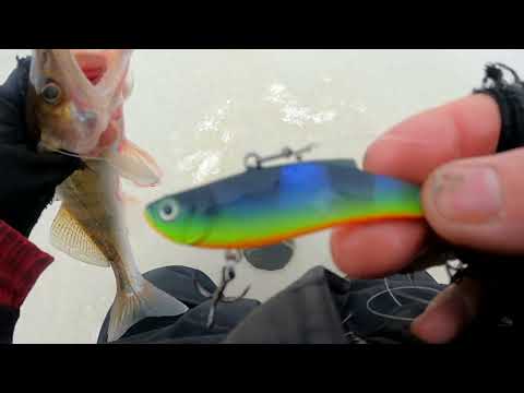 Видео: Судак на ВІБИ на Дніпрі. Техніка і тактика лову