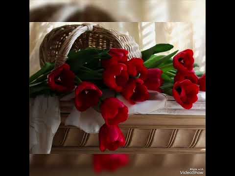 Видео: Кайт әле син