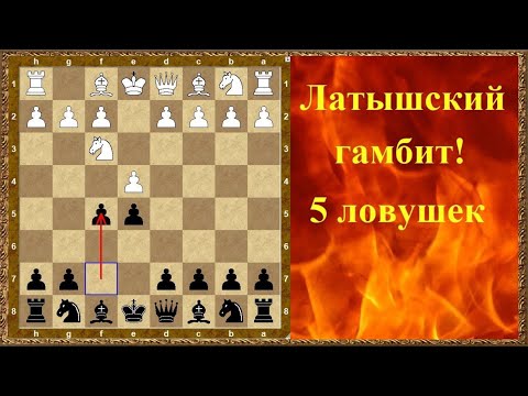 Видео: Шахматы дебюты. Латышский гамбит. 5 ловушек!