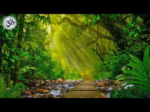Видео: Расслабляющая Фртепианная Mузыка, Очаровательный Лес, Звуки Природы, Снятие Cтресса, Медитация