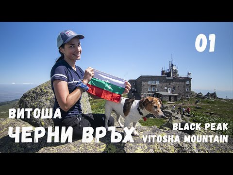 Видео: 39 Първенци на Планините в България | Изкачване на Черни връх | Витоша