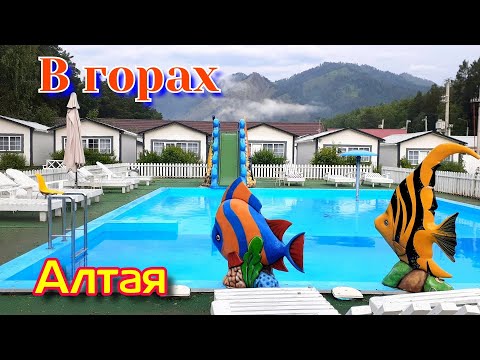 Видео: В горах Алтая | База Прованс | Купил мёд у Красотки | Лохмата ферма | Парк - Отель  Манжерок