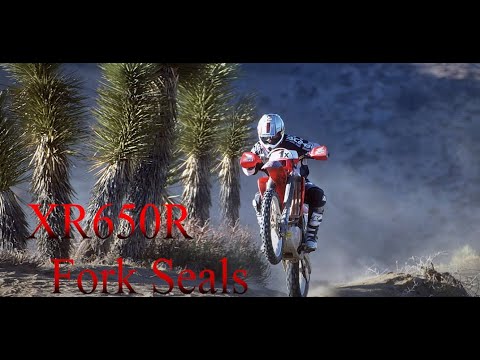 Видео: Уплотнения и втулки вилки XR650R