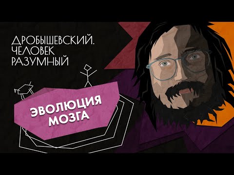 Видео: Эволюция мозга // Дробышевский. Человек разумный