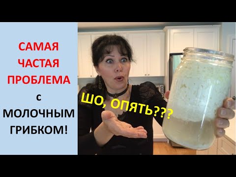 Видео: САМАЯ ЧАСТАЯ ПРОБЛЕМА с Молочным Грибком! 13 ч.