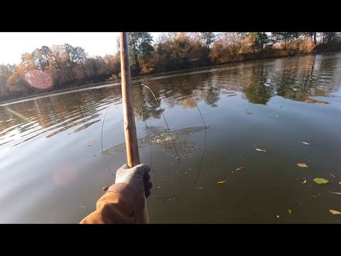 Видео: В КОНЦЕ ОКТЯБРЯ ПАУК РАДУЕТ УЛОВОМ! РЫБАЛКА НА ПАУК ПОЗДНЕЙ ОСЕНЬЮ! ЧАСТЬ 1!