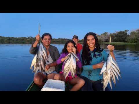 Видео: РЕЧНЫЕ ЖЕНЩИНЫ НА РЫБАЛКЕ САРДИНОВ НА АМАЗОНСКИХ ОСТРОВАХ