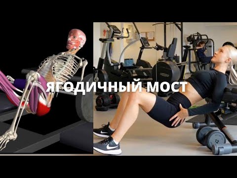 Видео: Все про ЯГОДИЧНЫЙ МОСТ и его вариации. Техника с пола, на лавке, под углом.