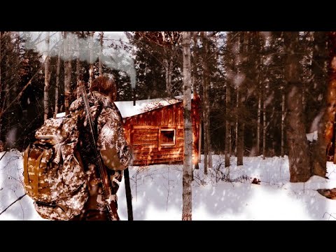 Видео: Заночевал в Избе. Таёжный Быт. Охота по Боровой.