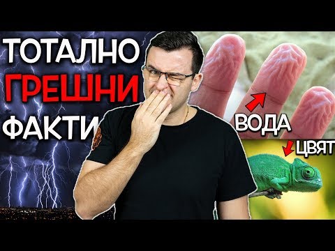 Видео: Топ 10 тотално ГРЕШНИ факта, в които хората ОЩЕ ВЯРВАТ