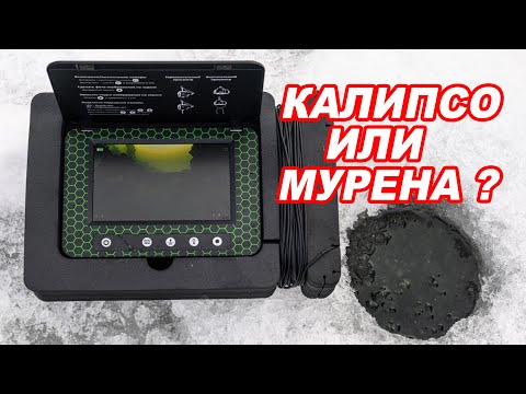 Видео: Рыба БУДЕТ! СРАВНИВАЕМ Мурену и Калипсо! Какую ПОДВОДНУЮ камеру выбрать?