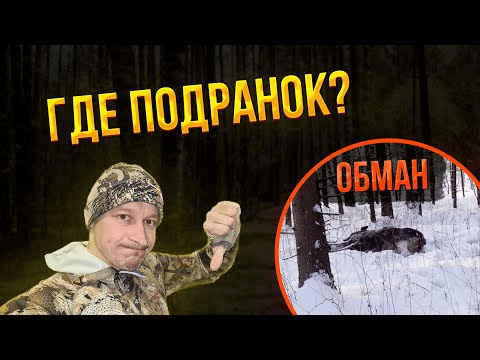 Видео: РАЗВОД на ДОБОР ПОДРАНКА / Как нас егерь обманул