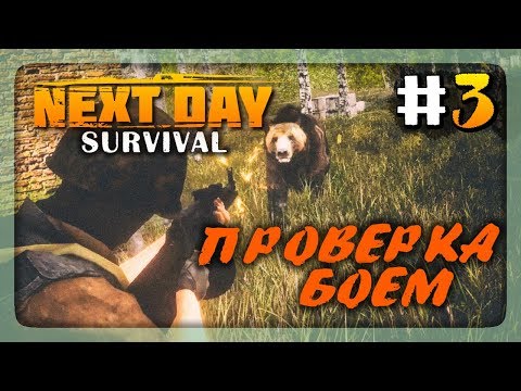Видео: ПРОВЕРКА БОЕМ! ✅ Выживаем в Next Day: Survival #3