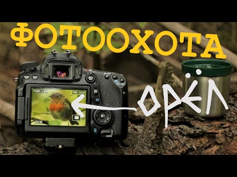 Видео: фотоохота на canon 70D и пара ништяков)