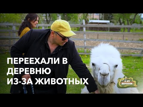 Видео: Почему горожане переезжают в деревню? «Я из деревни». Усадьба в д. Чепели