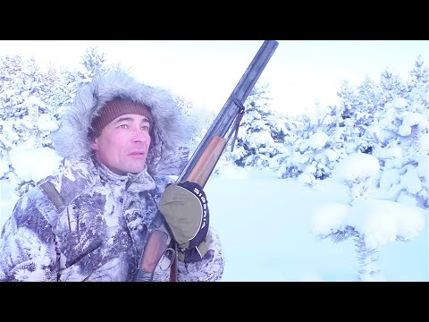 Видео: ОХОТА НА КУРОПАТКУ И РЯБЧИКА НА ЛУНКАХ / ПАТРОНЫ НЕ СТРЕЛЯЮТ ИЗ-ЗА МОРОЗА / -32. КАМЕРЫ ЗАМЕРЗАЮТ.