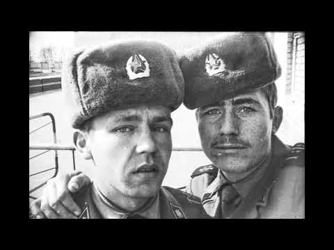 Видео: Тост ребятам из стройбата Я танк не водил,не стоял часовым