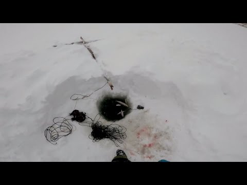 Видео: Рыбалка у чёрной дыры. Перемёт на Енисее. Серия шестьдесят седьмая.