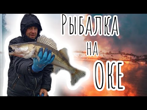 Видео: Рыбалка на джиг на ОКЕ в октябре.