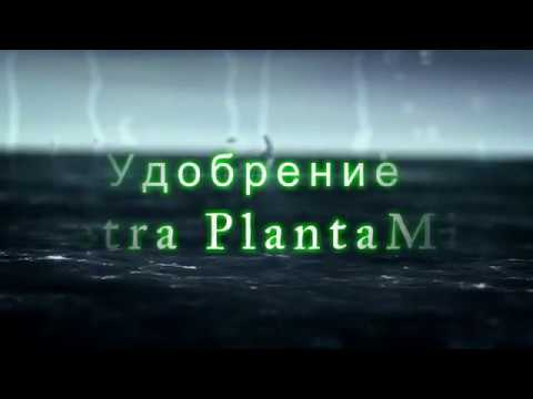 Видео: Удобрение Tetra PlantaMin